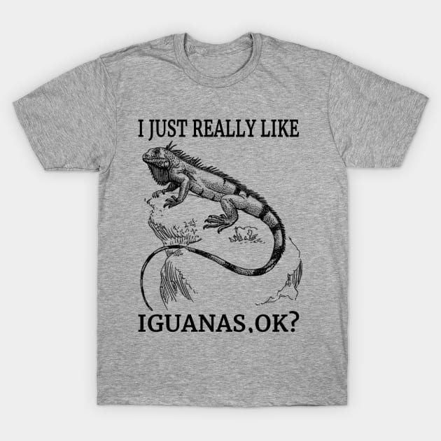 I Just Really Like Iguanas, Ok? Cool Reptiles Fan T-Shirt by klimentina